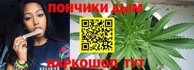 сатива Кимры