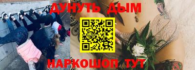 шишки Кинель