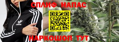шишки Кинель