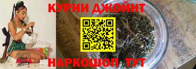сатива Кимры
